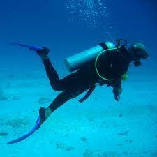 dive