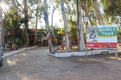monkey town